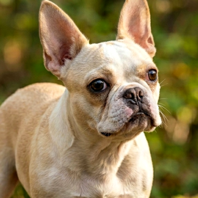 White Valley's Once Upon a Time (Story)